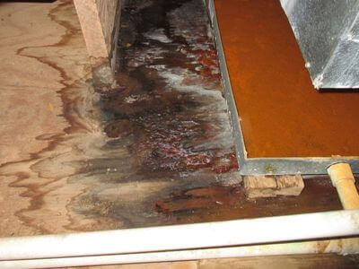 About HydroPulse Co - water damage restoration experts in Victorville